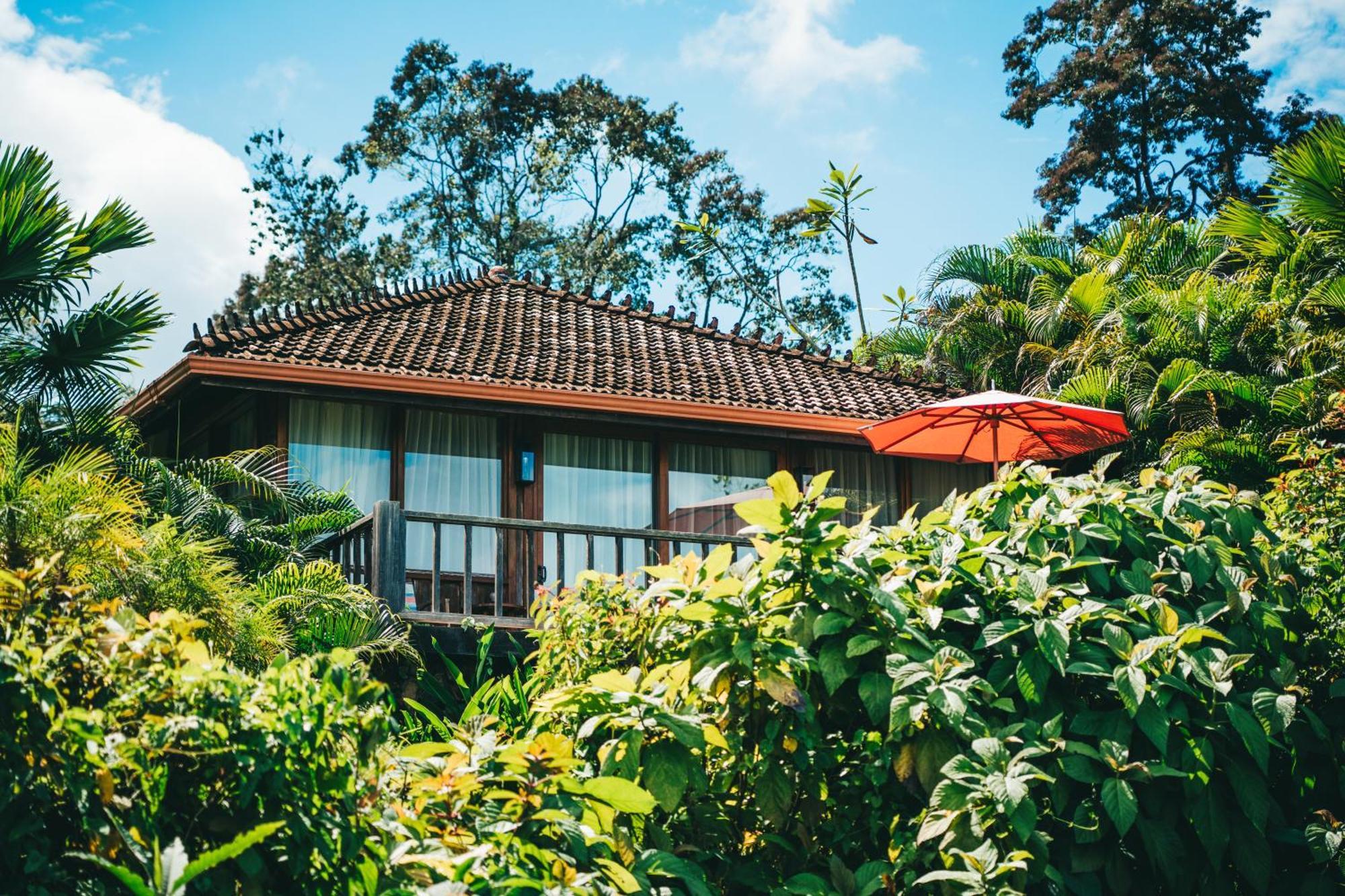 博卡斯德尔托罗 La Coralina Island House酒店 外观 照片